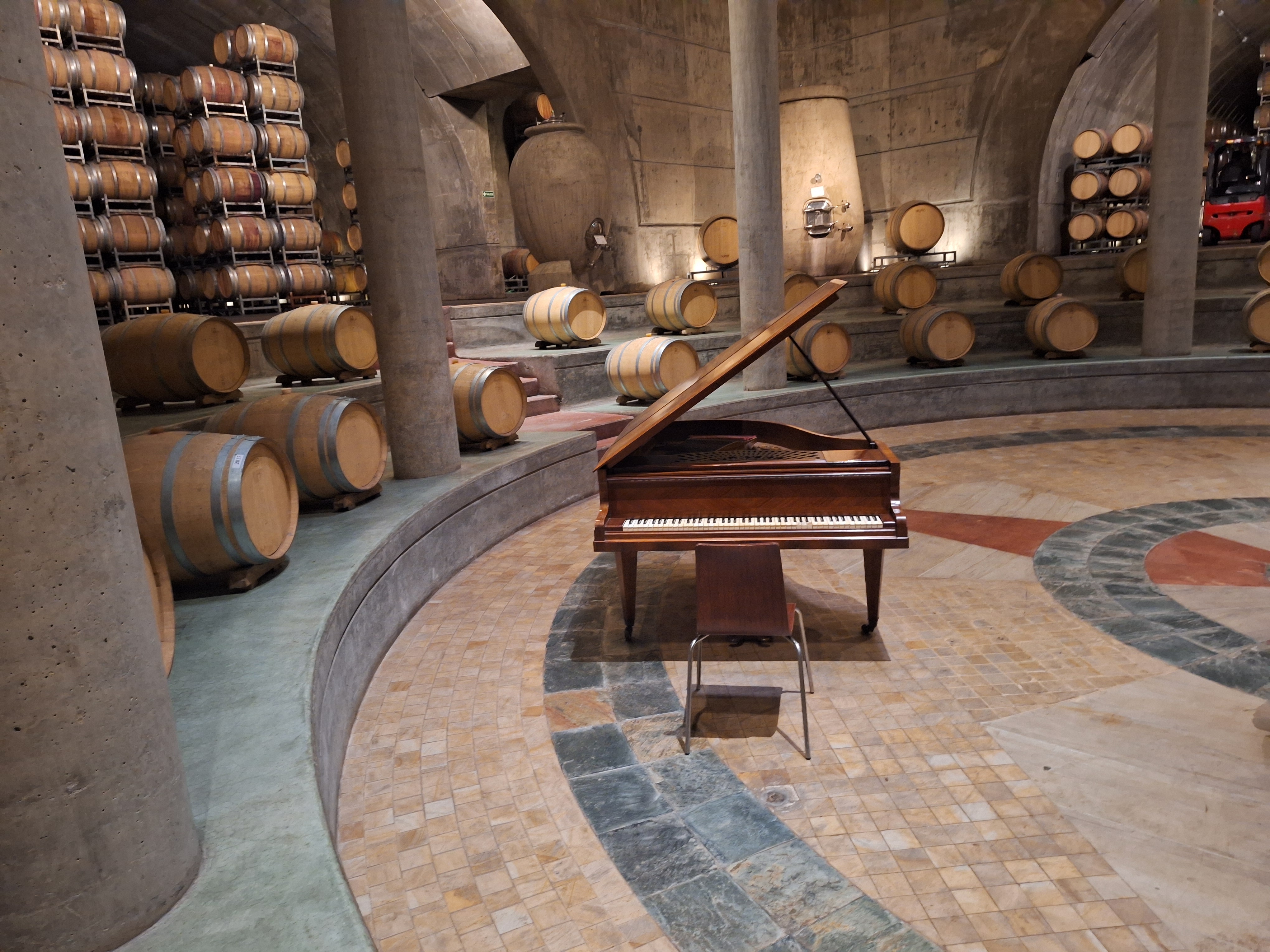 Tour en Bodega